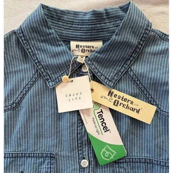 Hester Orchard Shirt Blue Stripe Tencel Western Button Down Sz Med NWT Farmcore - Picture 2 of 12
